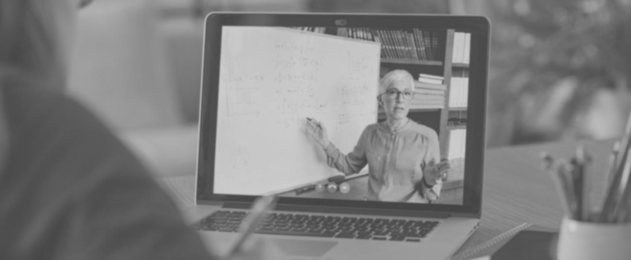 Student analyzing search console data